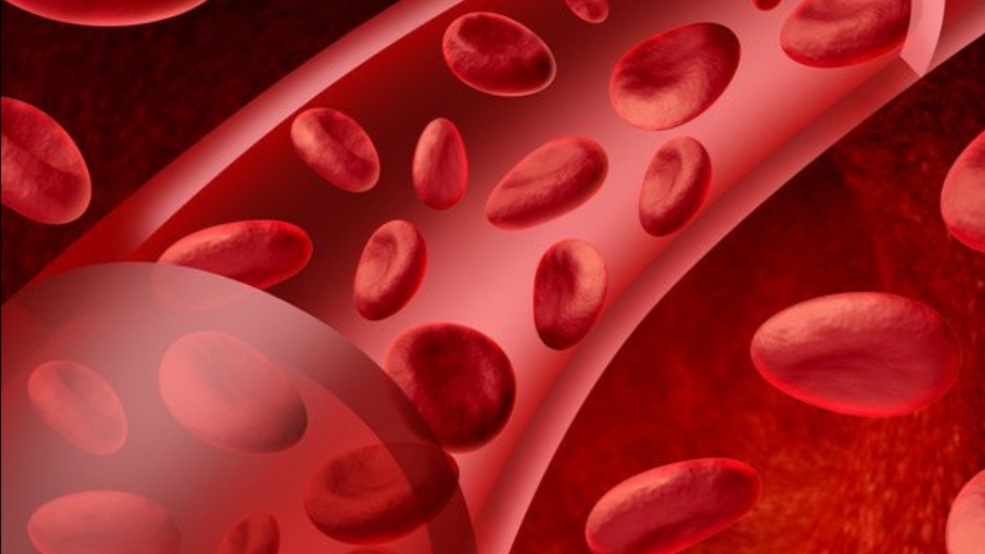 Trop de fer, quoi faire en cas d&rsquo;hemachromathose ?